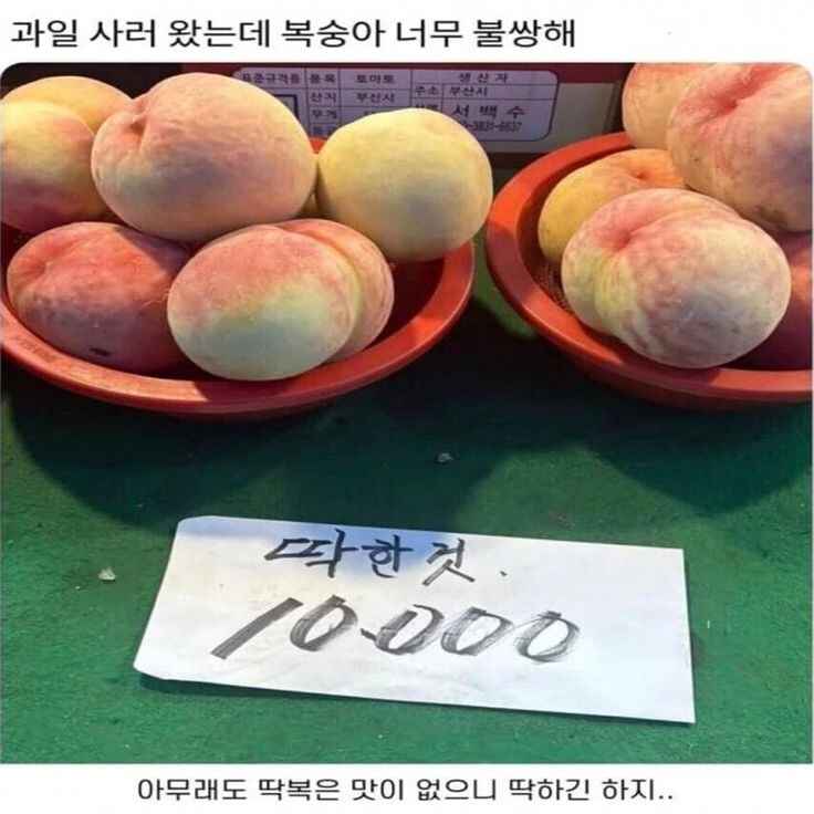 과일 사러 왔는데 복숭아 너무 불쌍해.jpg_1.jpg