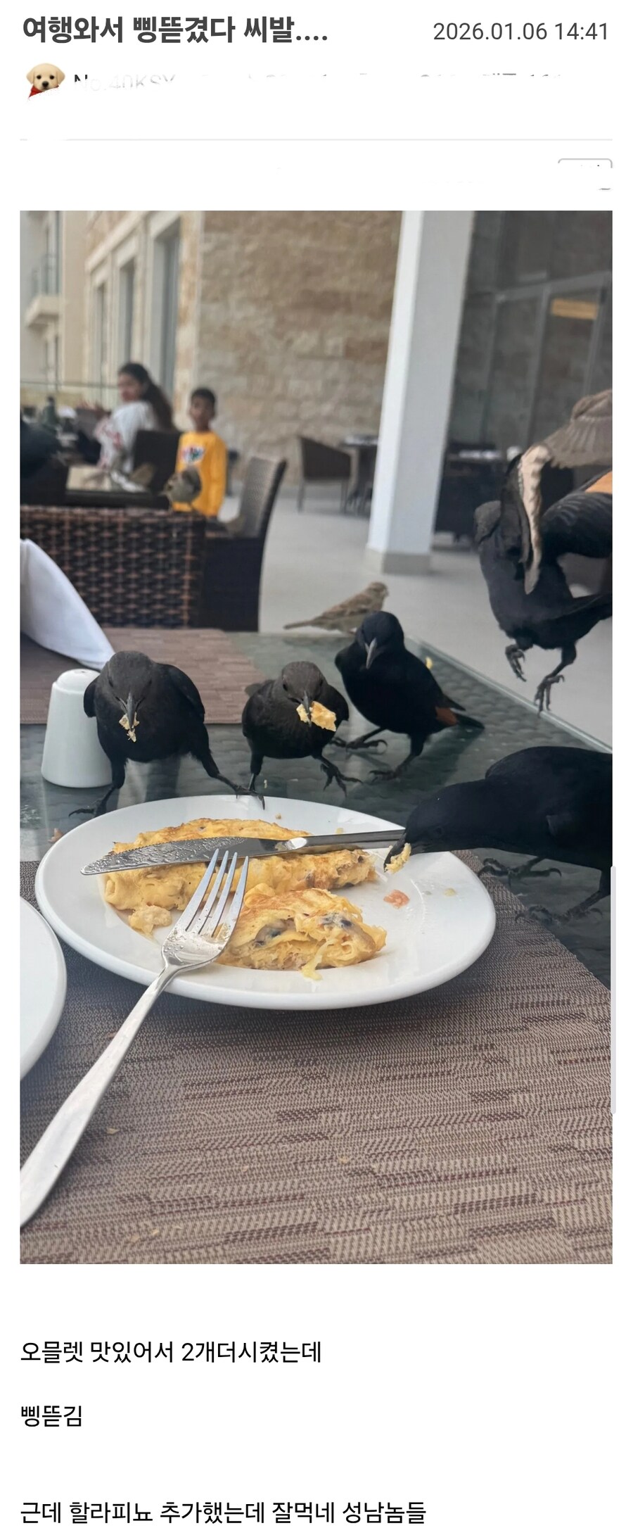 해외 여행 와서 삥 뜯겼다 ㅅ1ㅂ.._1.jpg