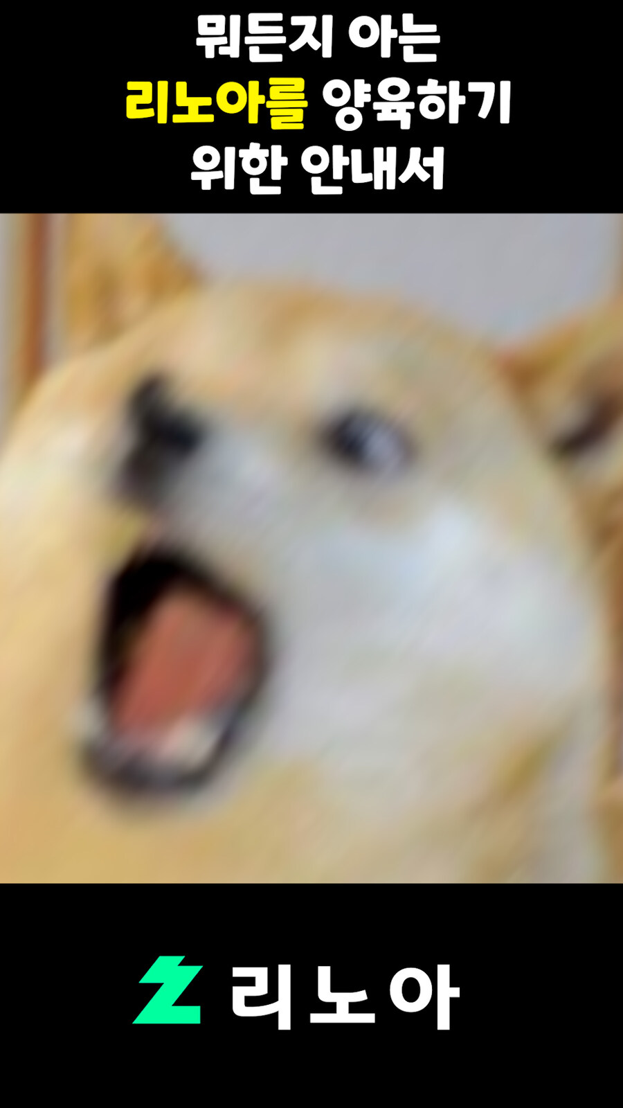 근튜버,버튜버) 뭐든지 아는 리노아를 양육하기 위한 안내서_14.jpg