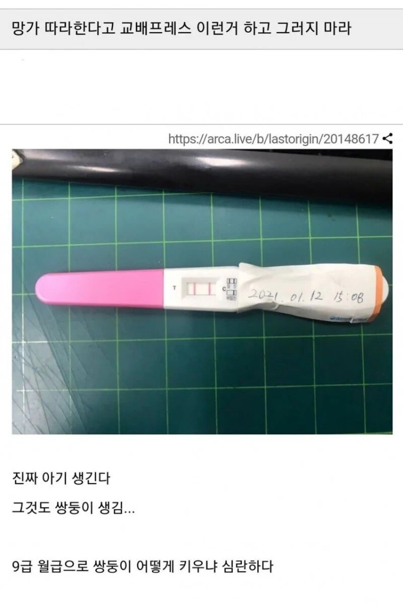 와이프랑 교배 프레스 따라한 후기