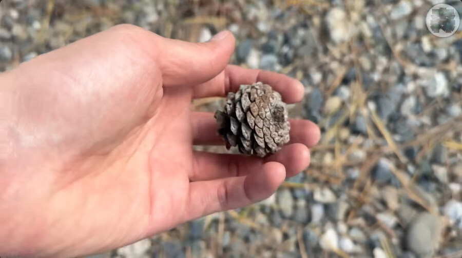 한국에 놀러온 일본인 바이커_33.jpg