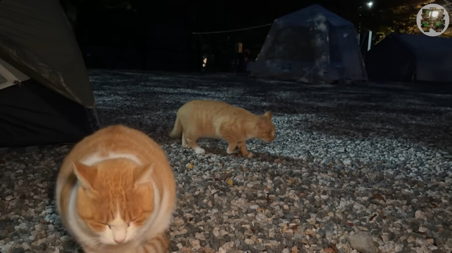 한국에 놀러온 일본인 바이커_90.jpg