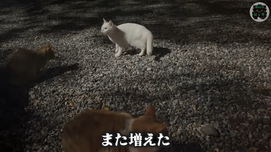 한국에 놀러온 일본인 바이커_98.jpg