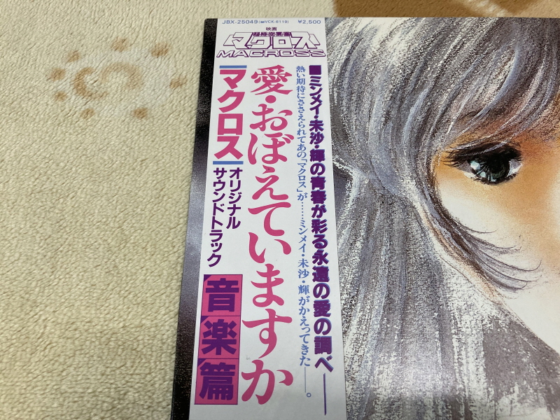 마크로스 더 무비 퍼펙트 에디션 (the MOVIE Perfect Edition)_181.jpg