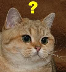 해리포터) 의외로 영화판에서 피해를 심하게 본 악역_1.jpg