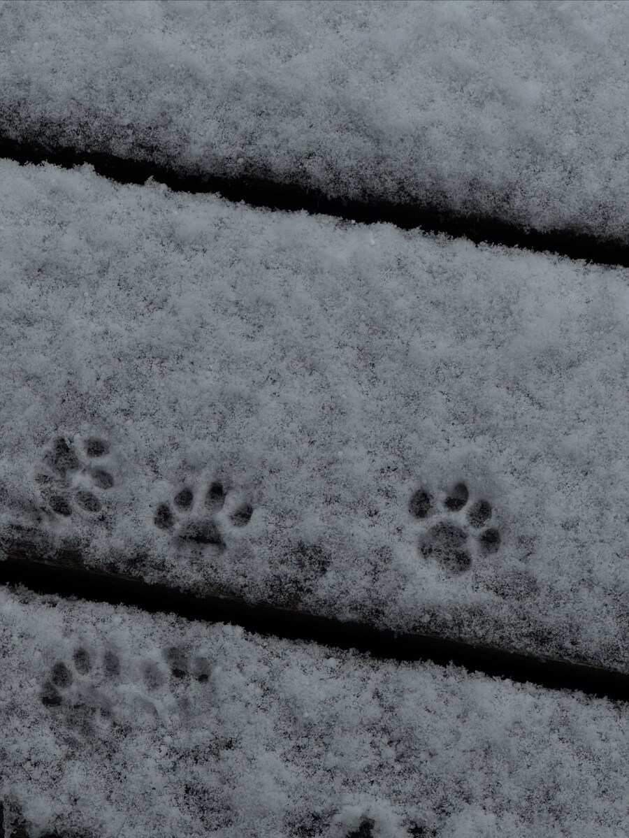 ㅎㅂ) 핑크머리 그녀♡♡♡♡_2.jpg