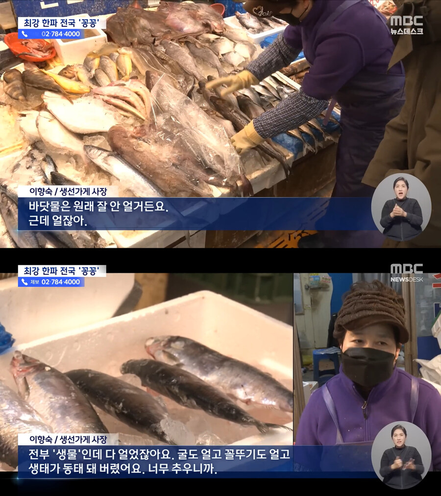 오늘 진열한건 생태였는데_1.jpg