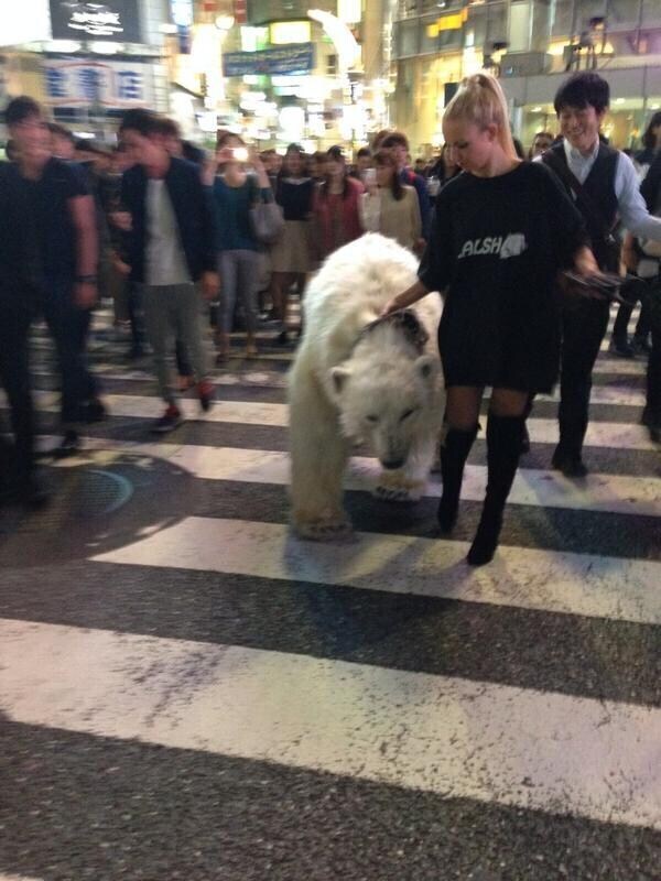 우리집 "개"는 안 물어요_1.jpg