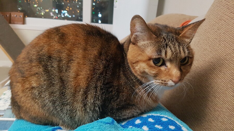 [26학번 새내기] 안녕하새오~ 새내기애오_14.jpg