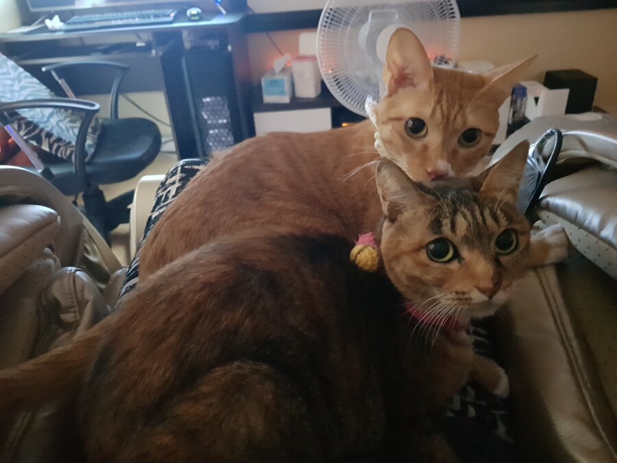 [26학번 새내기] 안녕하새오~ 새내기애오_18.jpg