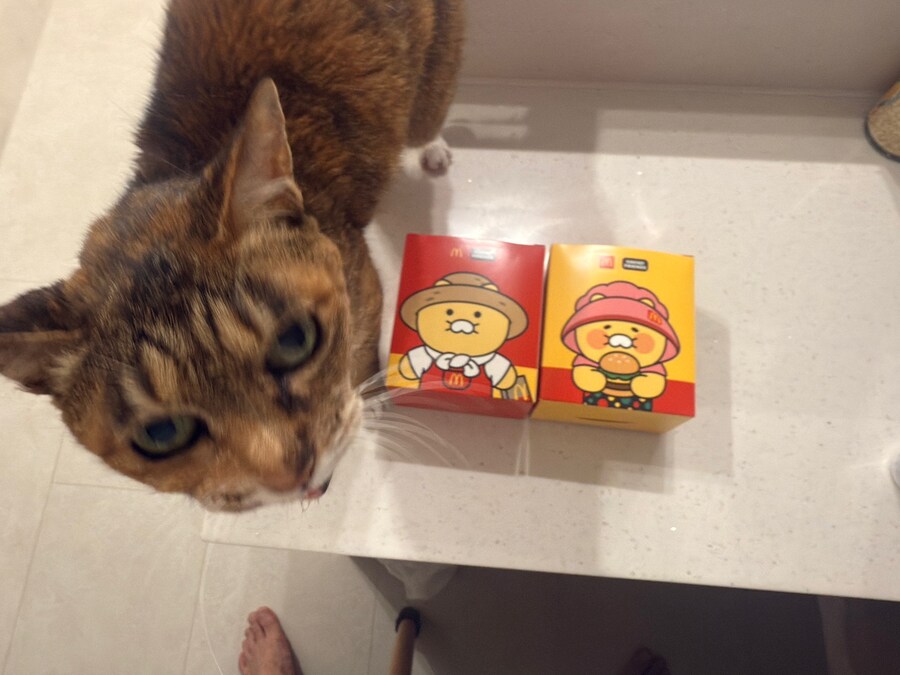 [26학번 새내기] 안녕하새오~ 새내기애오_20.jpg