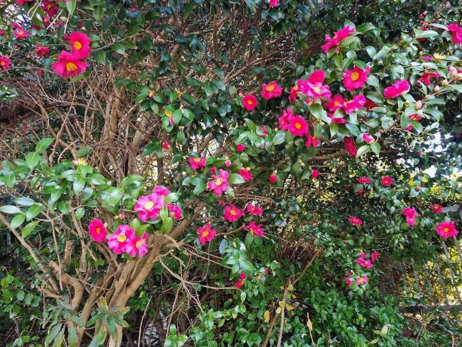 엄청 오랜만의 제주도_9.jpg