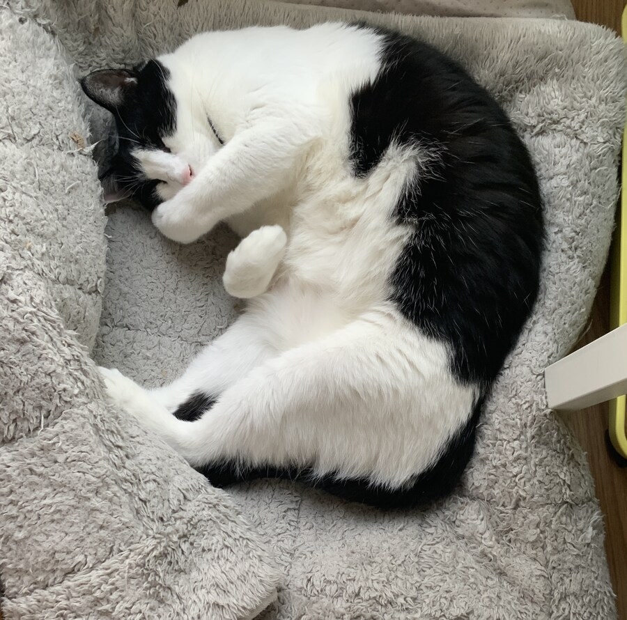 당근에서 물건 잘팔았다고 느낄때_1.jpg