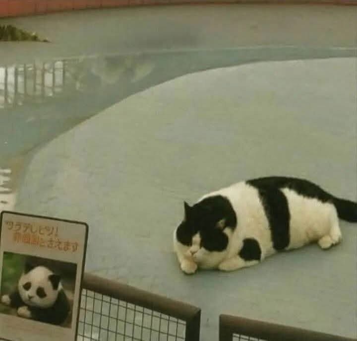 이력서에 거짓말을 써서 냈지만, 어쨌건 취업에 성공했다._1.jpg