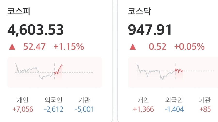 국장)개미가 지수를 올리네_1.jpg