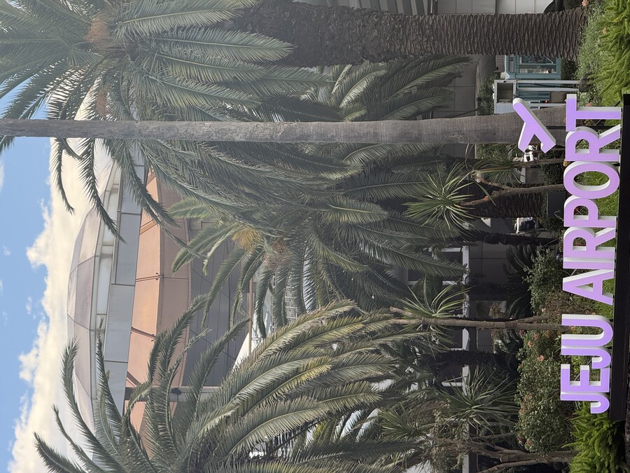 25년 11월 제주 여행_6.jpg