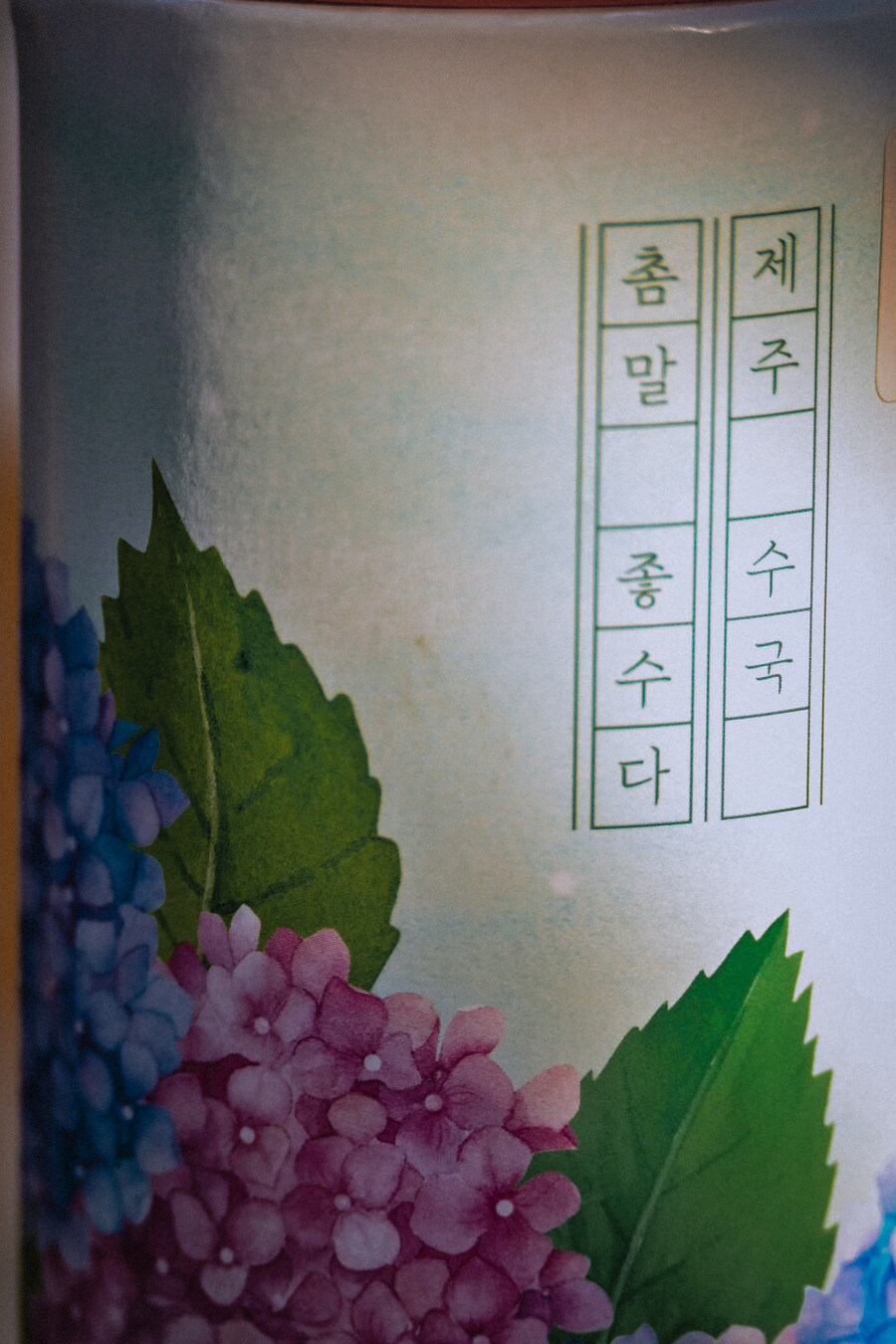 25년 11월 제주 여행_27.jpg