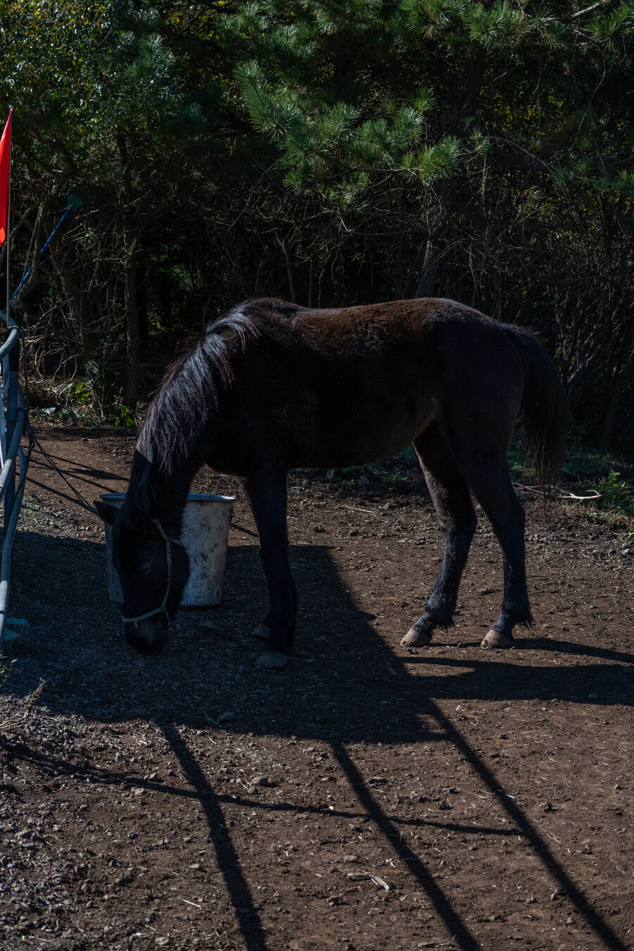 25년 11월 제주 여행_49.jpg