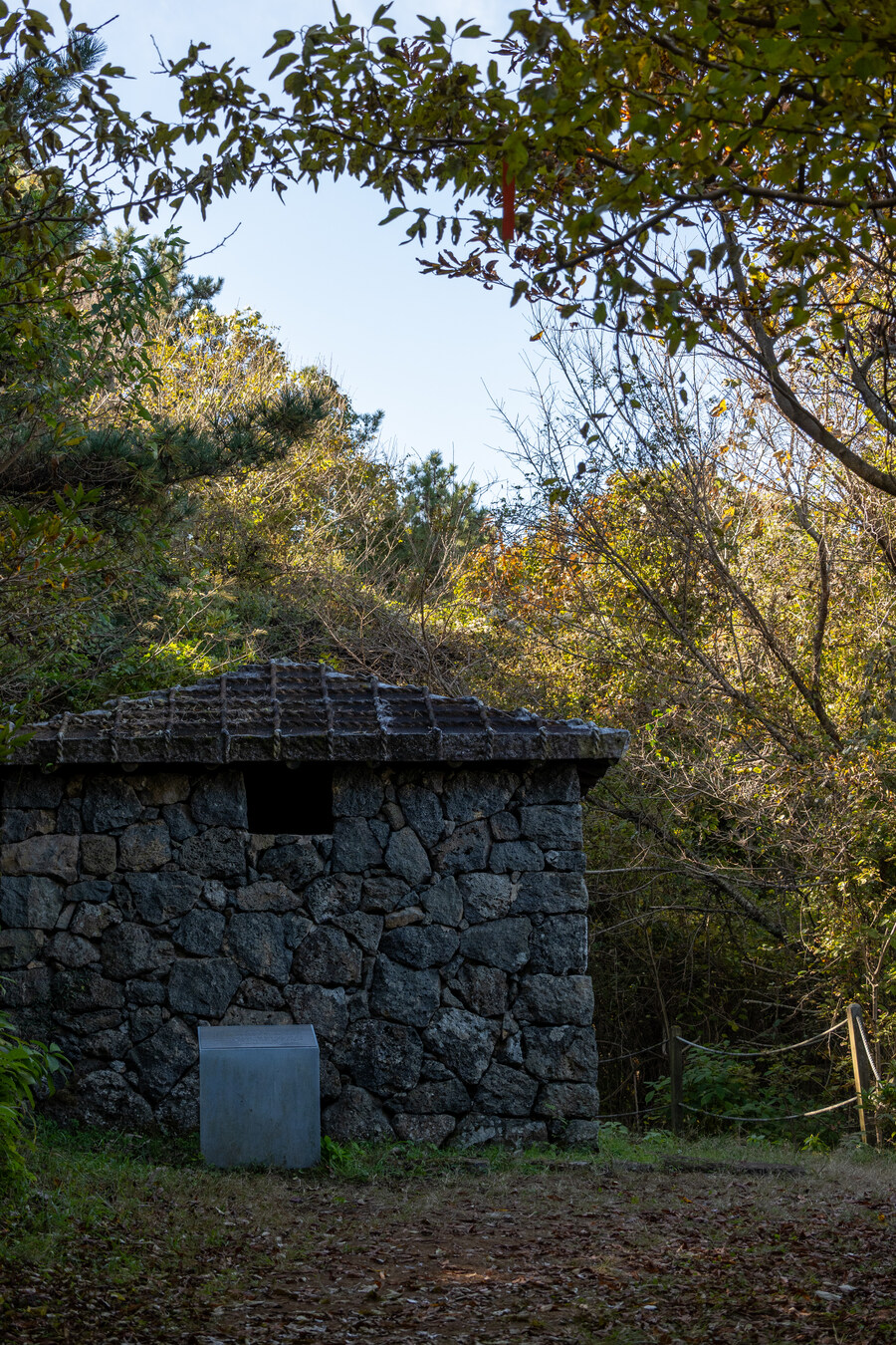 25년 11월 제주 여행_51.jpg