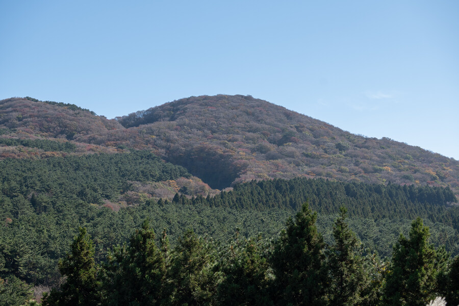 25년 11월 제주 여행_53.jpg