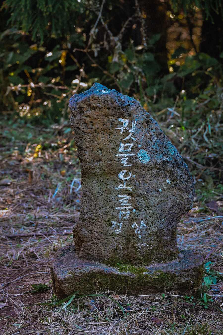 25년 11월 제주 여행_55.jpg