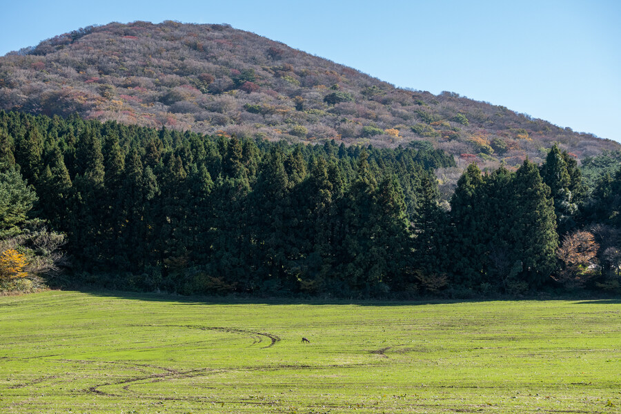 25년 11월 제주 여행_60.jpg