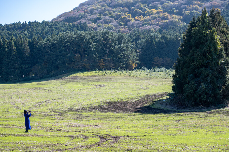 25년 11월 제주 여행_59.jpg