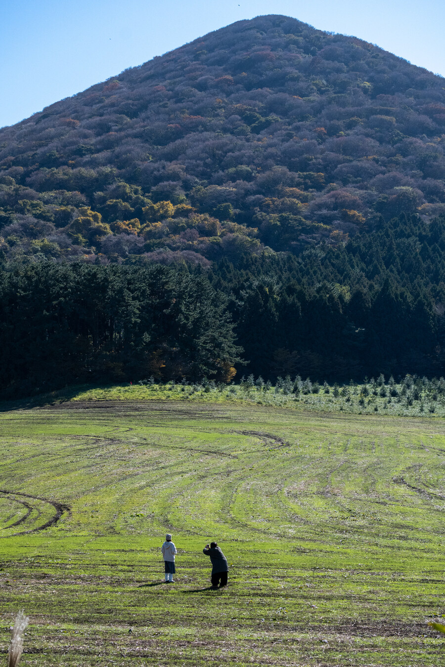 25년 11월 제주 여행_61.jpg