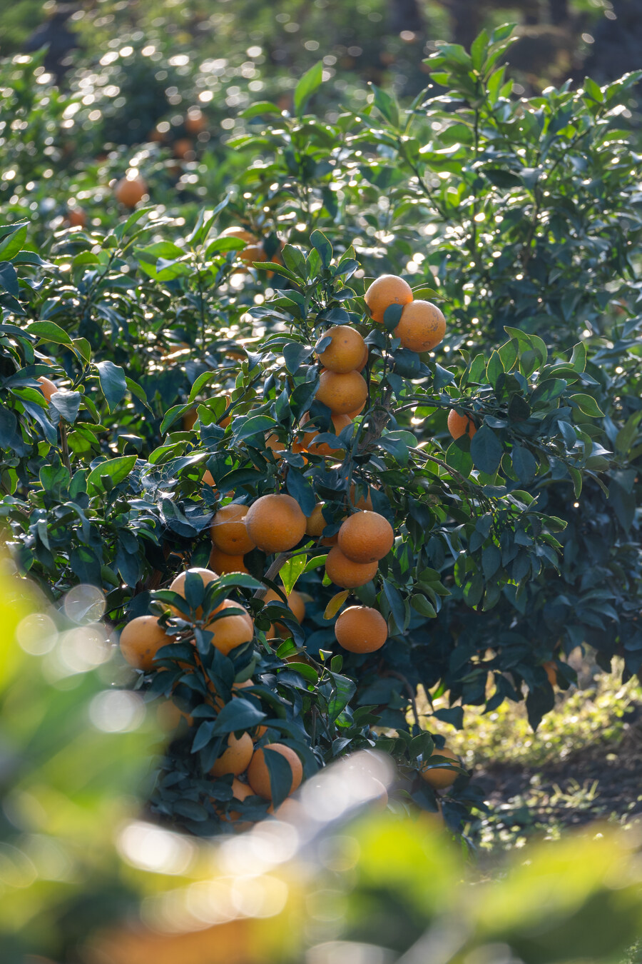 25년 11월 제주 여행_78.jpg