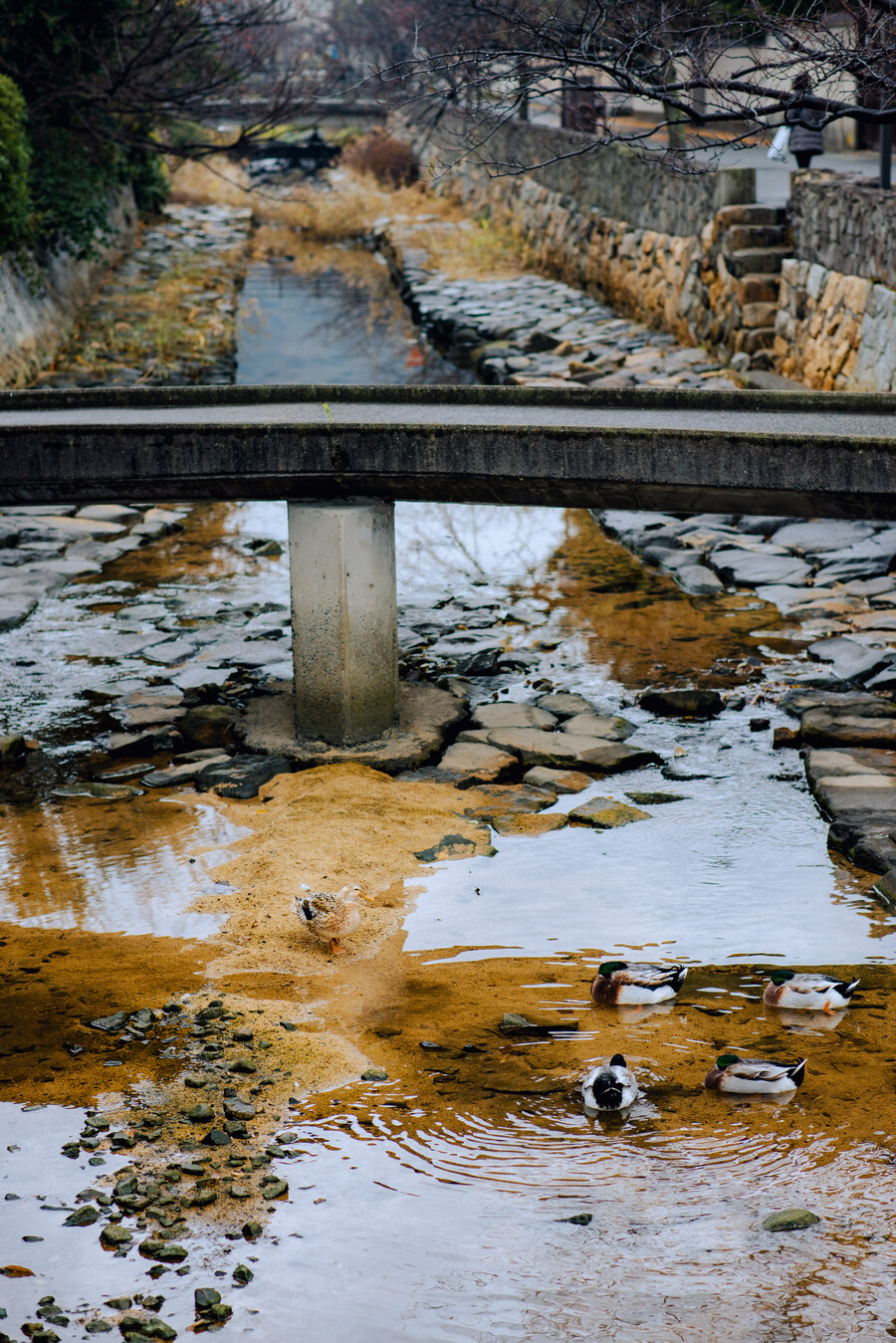 시모노세키 사무라이 마을과 잉글리쉬 카페 다녀왔습니다._2.jpg