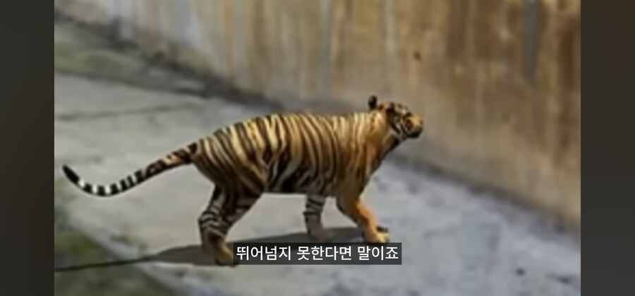 다음 중 가장 잘못한 새끼들을 고르시오_11.jpg