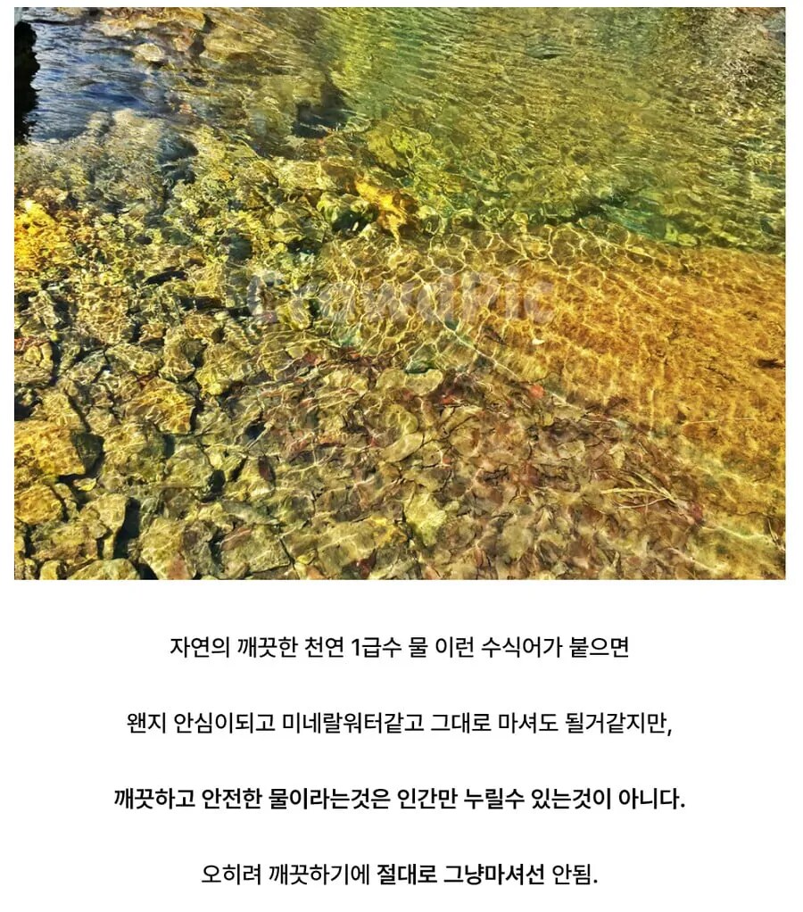 자연산 깨끗한 물에 대한 착각_1.png