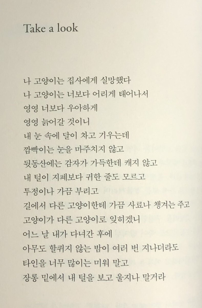 고양이) 떼껄룩_1.jpg