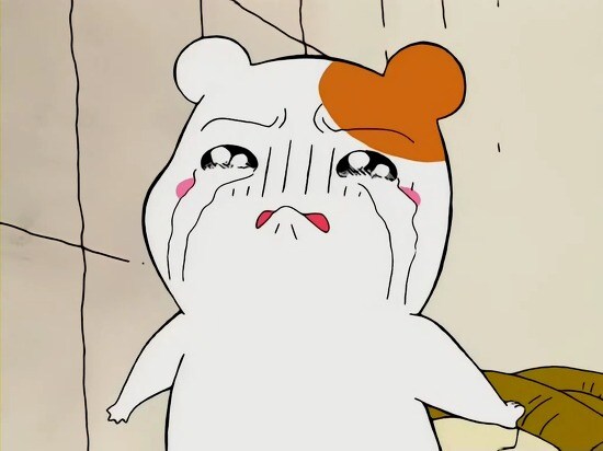 미국에서 '위협적인 테러리스트'를 사살했다는 사건의 차량 글로브박스.jpg_2.jpg