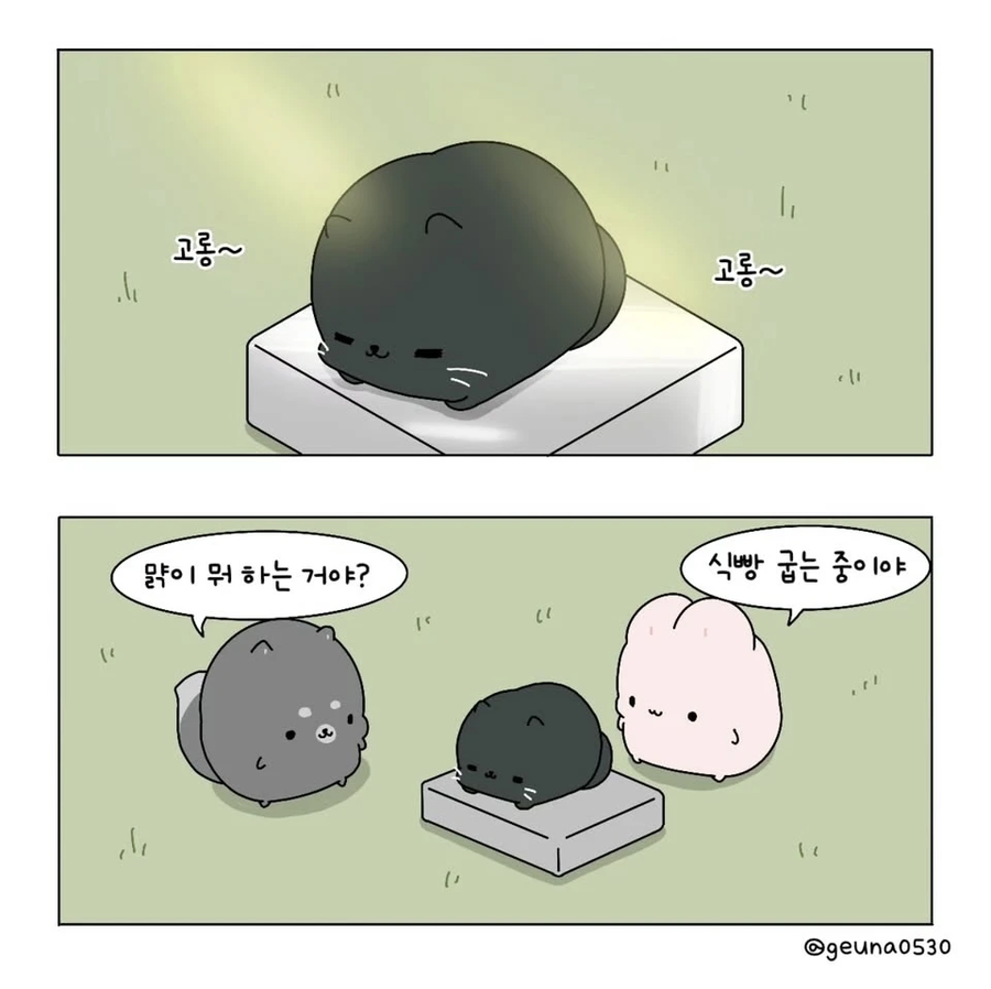 고양이 식빵을 굽는 .manhwa_1.webp