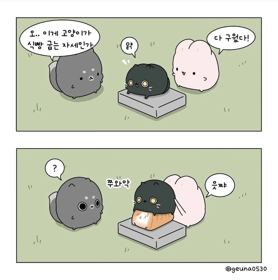 고양이 식빵을 굽는 .manhwa_2.webp