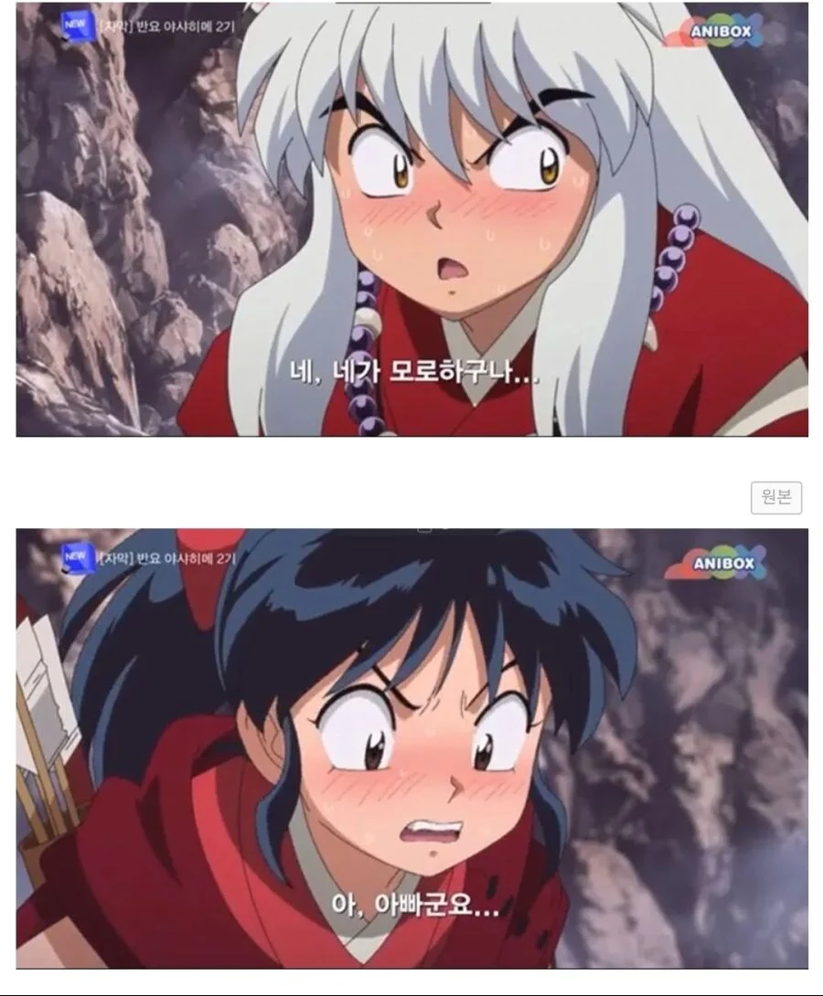 서로 당황한 파파카츠 현장 .jpg_1.webp