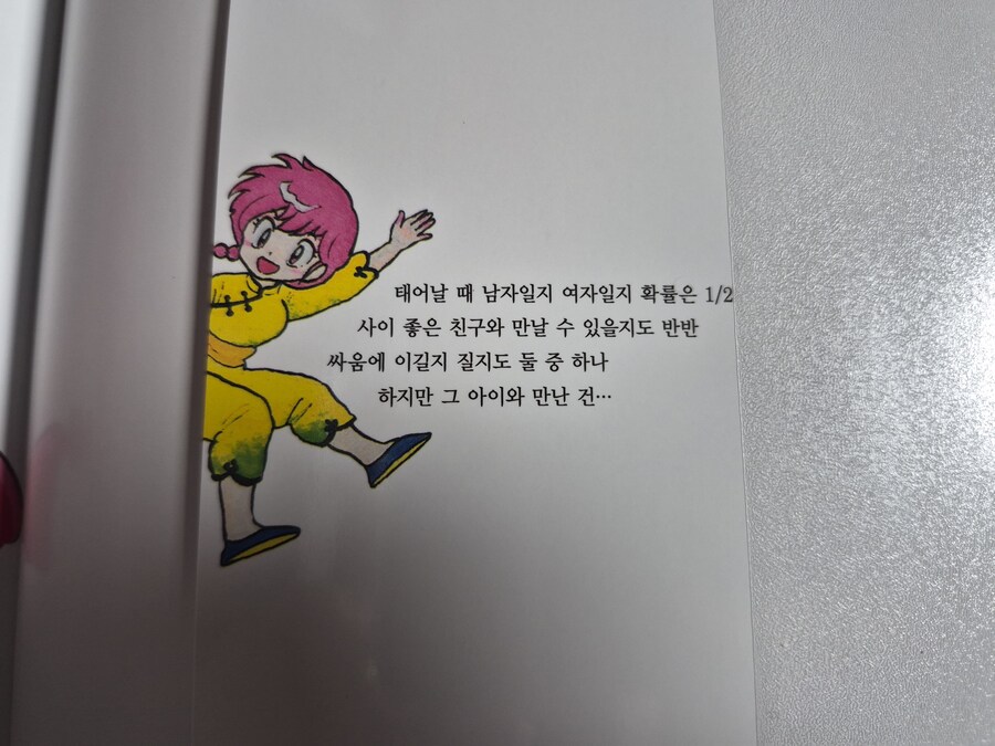 란마 1/2 메모리얼 북_3.jpg