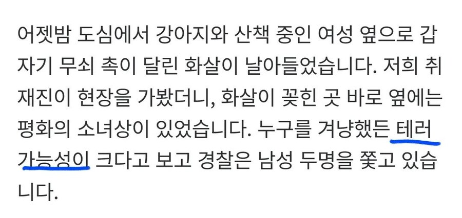 공원에 '무쇠 촉 화살' 쏜 20대 남성 cctv공개_2.jpg