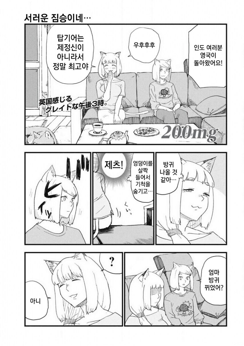 말을 못해 서러운 짐승.jpg_1.jpg