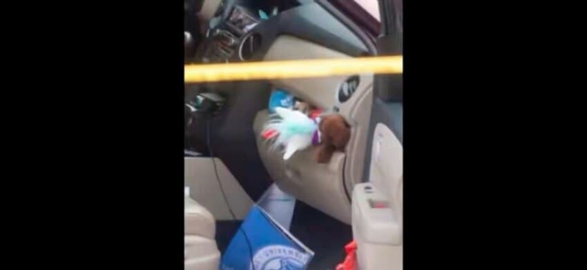 이번에 ICE 총격 사망자 좌석에 있던것._1.jpg