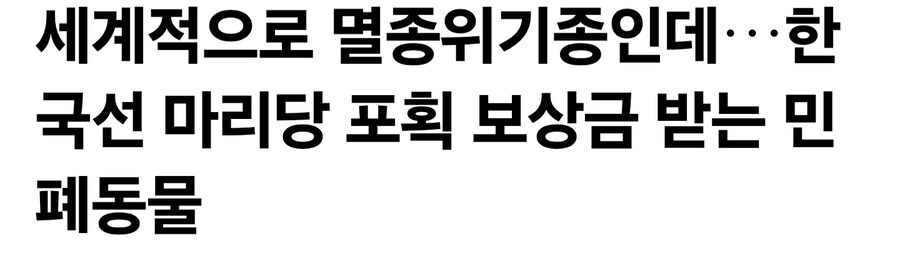 멸종위기종을 학살하면 돈 주는 나라..._1.jpg