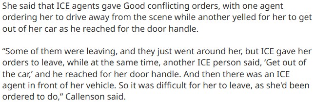 ICE) "차를 몰고 현장을 떠나라" "당장 차에서 내려라".jpg_2.png