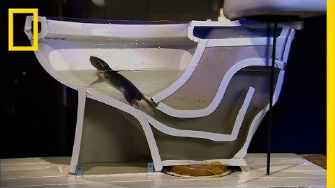 [공포] 알고보니 별거 아니었던 괴담들.jpg_6.jpg