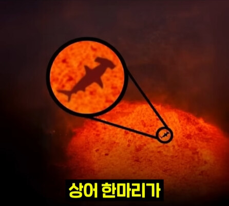 펄펄 끓는 활화산 속에서 발견된 상어.jpg_5.jpg
