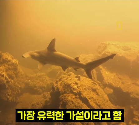 펄펄 끓는 활화산 속에서 발견된 상어.jpg_36.jpg
