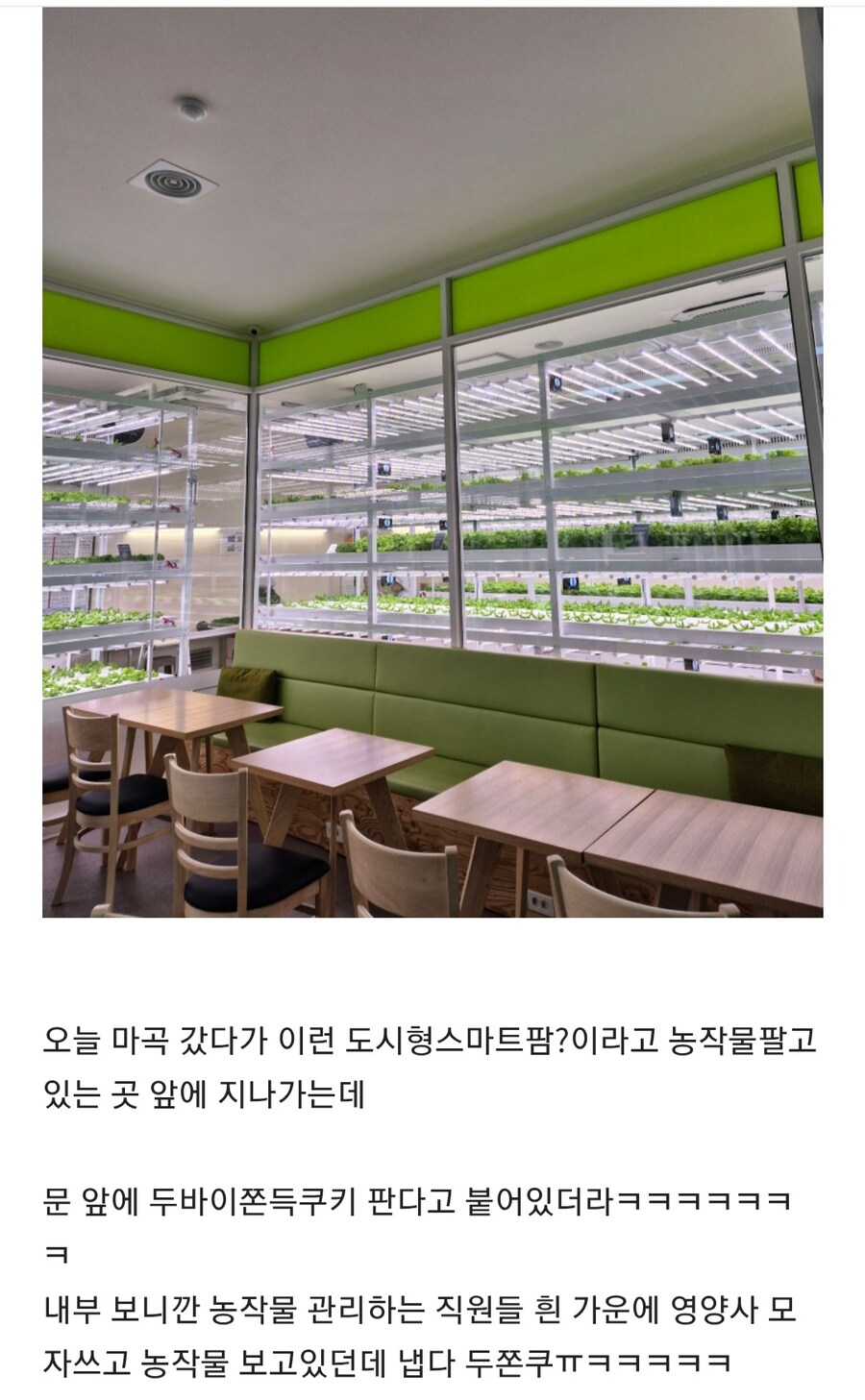 유행 대폭발로 폭주중인 두쫀쿠 근황_5.jpg