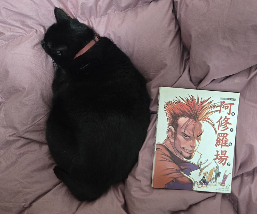 방정리하다 나온 책_3.jpg