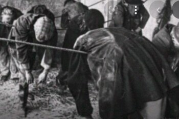 마왕군의 천재라 불리는 이유_8.png