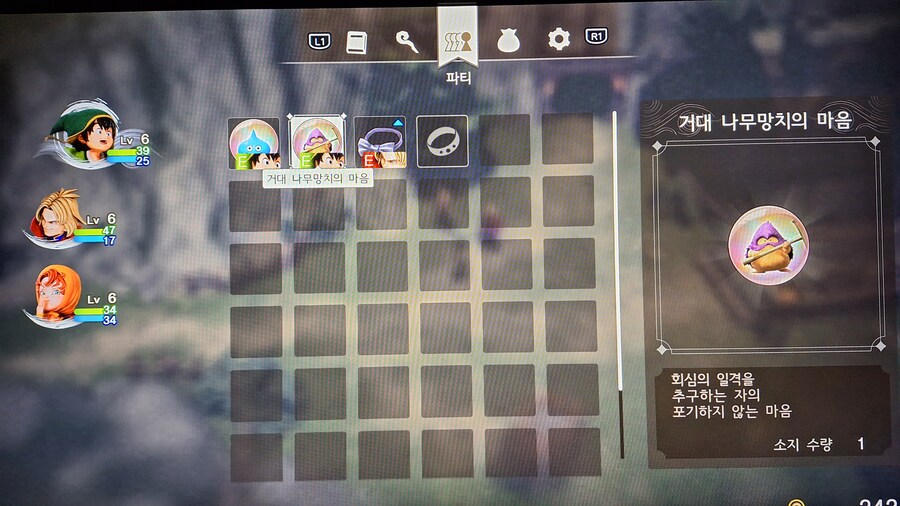 드퀘7 악세사리 질문??_1.jpg